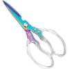 Transparent Colorful